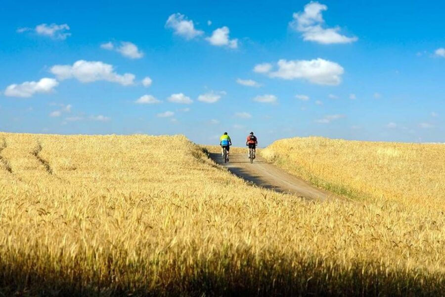 From Florence: Tuscany by E-Bike with Lunch and Wine Tasting - Key things to know before you go