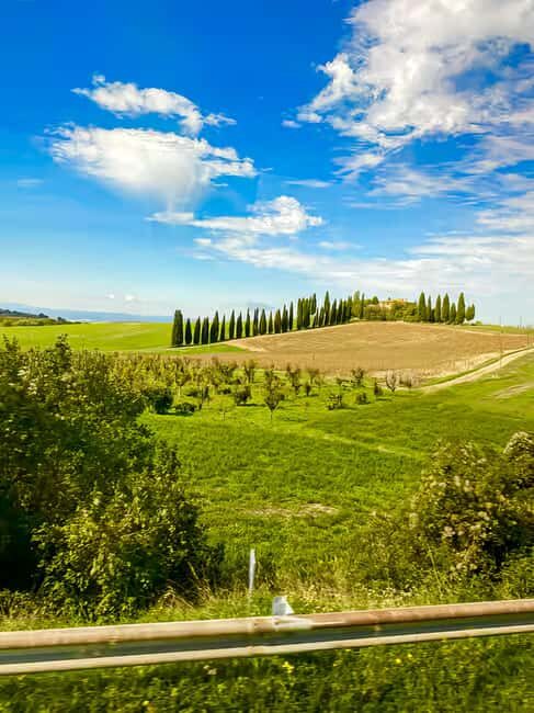 From Florence: Tuscany Hills Wine Tour - Winery stop: Chianti and Nobile tastings plus olive oil lessons