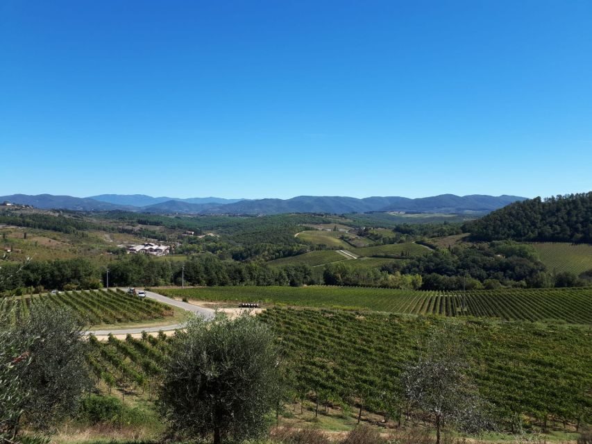 From Florence: Vintage Fiat 500 Chianti & Tuscany Wine Tour - The Florence-from-above viewpoint you’ll actually remember
