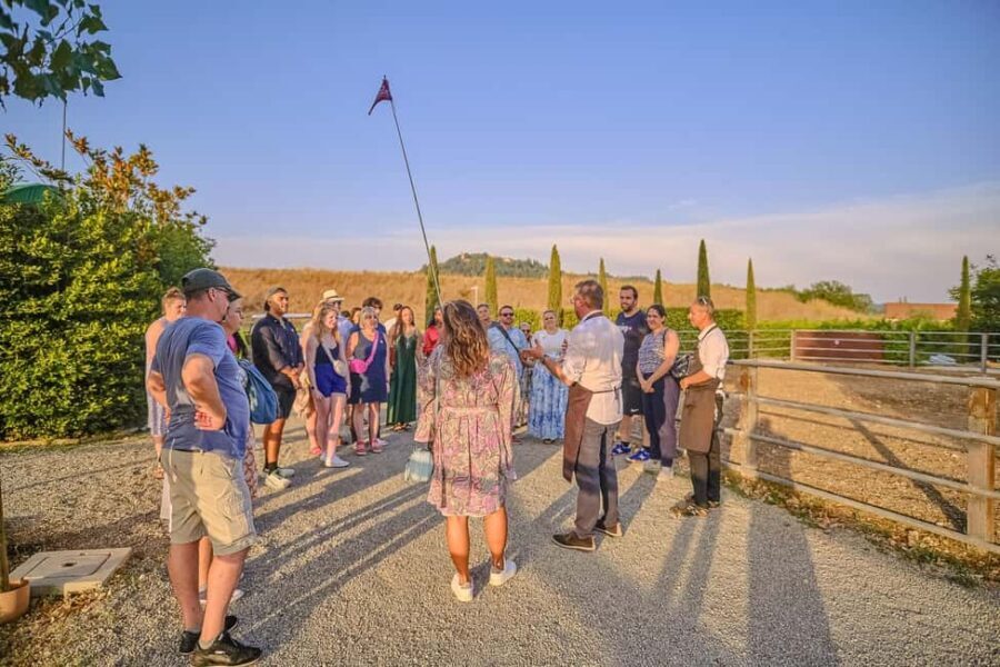 From Florence: Wine Tasting and Dinner in Chianti Vineyards - The Village Break in Greve (and Sometimes Castellina)