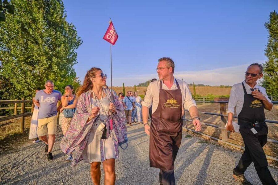 From Florence: Wine Tasting and Dinner in Chianti Vineyards - Wine Pairing Done Right (and Why It Helps Even If You Are Not a Sommelier)