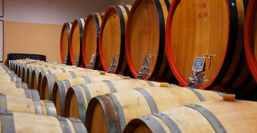 From Siena: Brunello di Montalcino Guided Wine Tour W/ Lunch - Minivan to Montalcino: vineyard walk and your first cellar taste