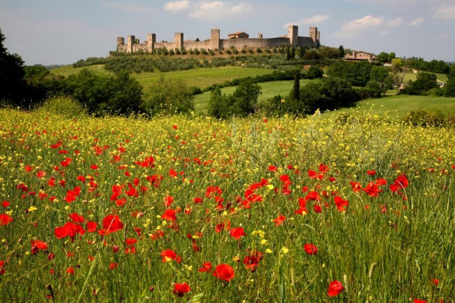 From Siena: Chianti Countryside E-Bike Tour w/ Lunch & Wine - Quick hits on the Siena to Chianti e-bike day