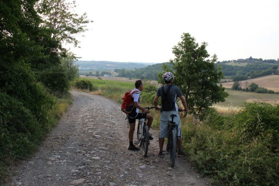 From Siena: Chianti Countryside E-Bike Tour w/ Lunch & Wine - Lunch at a local farm: wine, extra virgin olive oil, and seasonal plates
