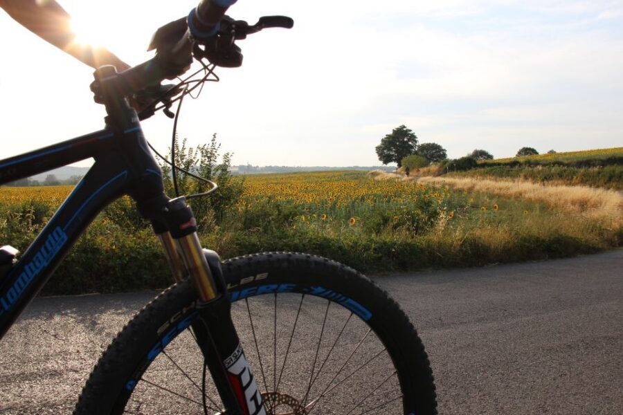 From Siena: Chianti Countryside E-Bike Tour w/ Lunch & Wine - The 6-hour flow: how the day stays doable without rushing