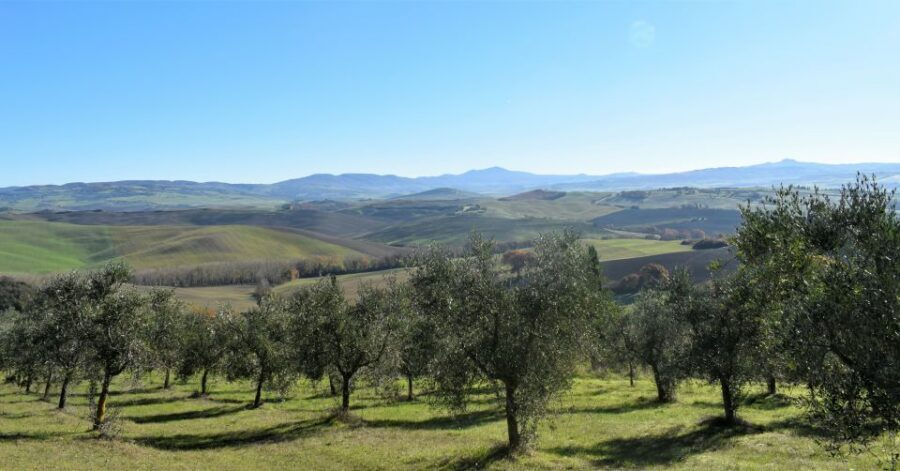 From Siena: Chianti Countryside E-Bike Tour w/ Lunch & Wine - Price and value: what $203.91 includes for 6 hours