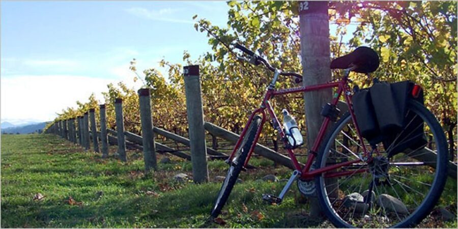 From Siena: Chianti Countryside E-Bike Tour w/ Lunch & Wine - Chianti by secondary roads: your 20km ride at an easy pace