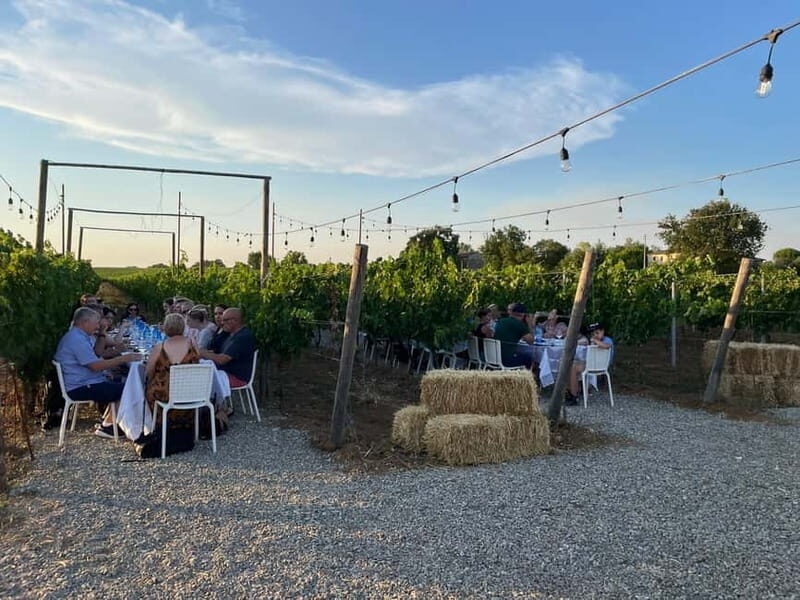 From Siena/Chianti: Dinner & Drinks in the Chianti Vineyards - Who should book this Chianti dinner tour (and who shouldn’t)