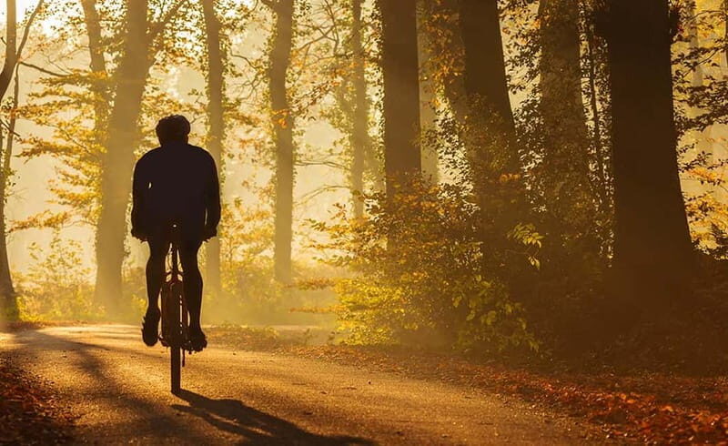 From Siena: Chianti Electric Bike Tour - Key Points at a Glance