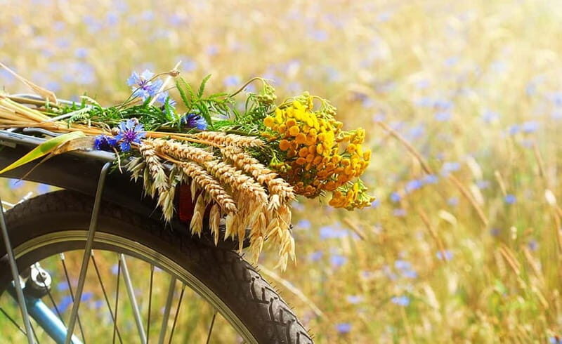 From Siena: Chianti Electric Bike Tour - Why an Electric Bike Tour in Chianti Feels Just Right