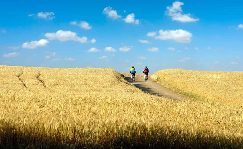 From Siena: Chianti Electric Bike Tour - The Ride Through Chianti Hills: Views, Villages, and Road Share Reality