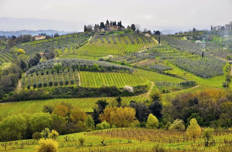 From Siena: Chianti Electric Bike Tour - Stop for a Small Village and Fort Time