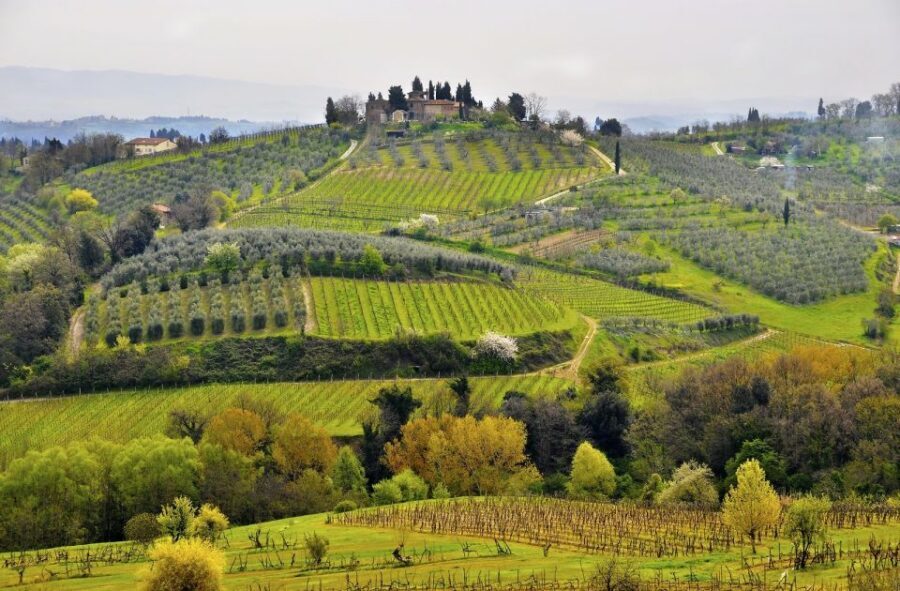 From Siena: Chianti Electric Bike Tour - What $147.27 Buys: Value Beyond the E-Bike