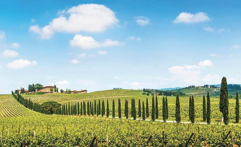 From Siena: Chianti Electric Bike Tour - From Siena Meeting Point to Chianti Riding Area