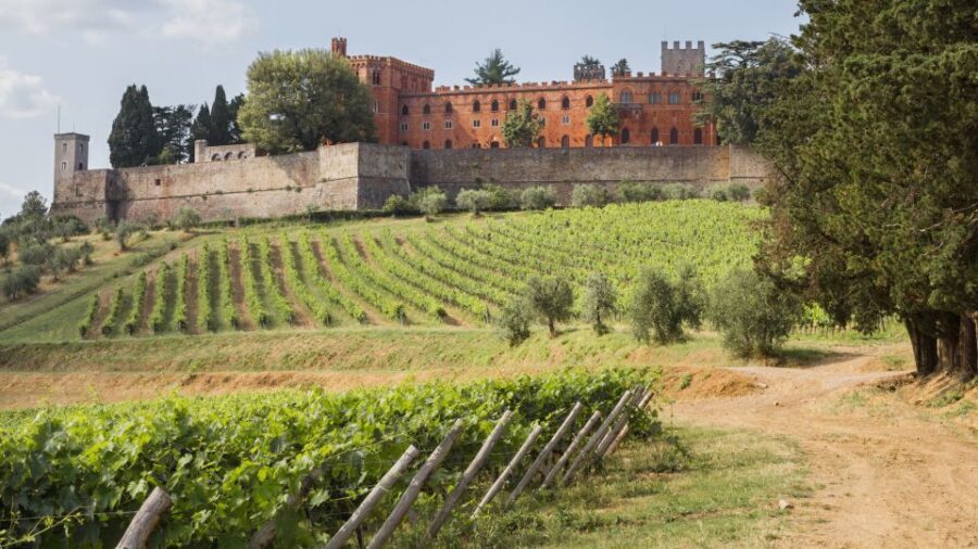 From Siena: Chianti Wine Tour with Lunch - Key things I’d pay attention to