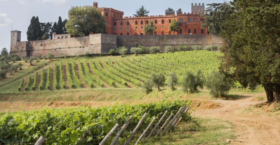 From Siena: Chianti Wine Tour with Lunch - From Piazza San Domenico to the Chianti hills: how the day starts