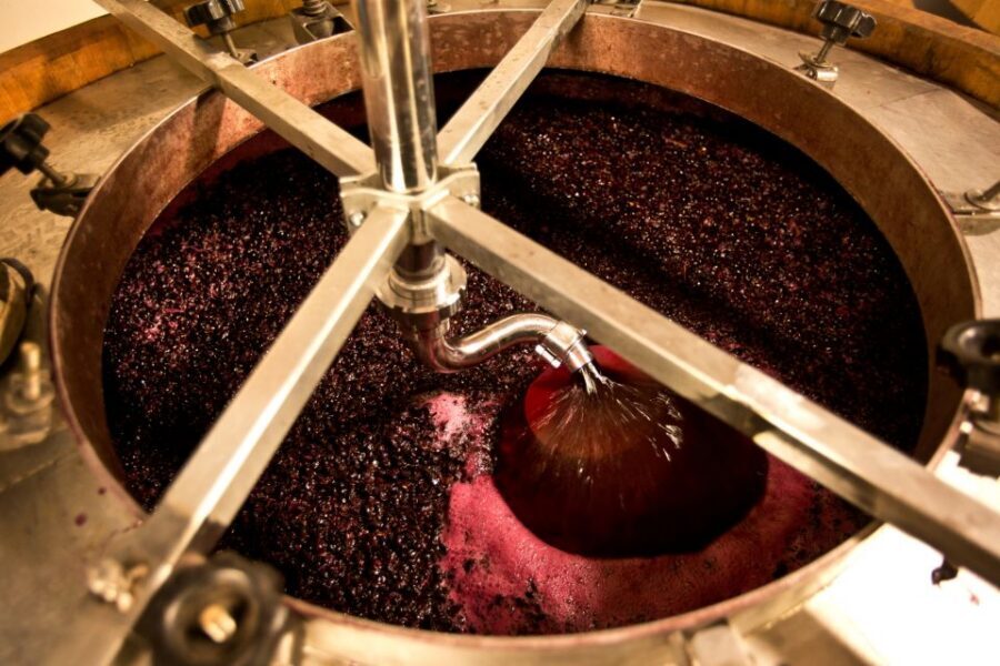 From Siena: Chianti Wine Tour with Lunch - Getting your money’s worth: value for $203.91