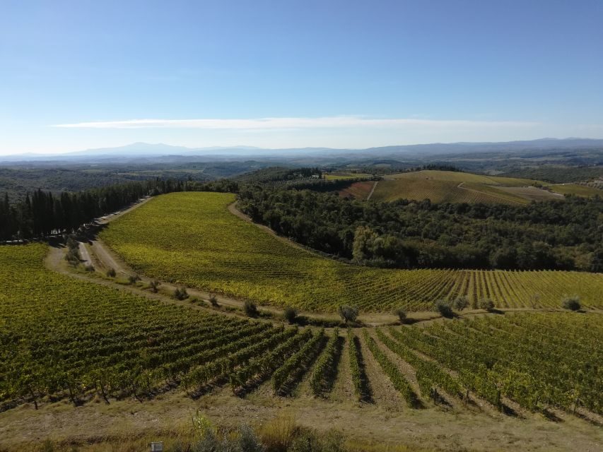 From Siena: Chianti Wine Tour with Lunch - Castles, fortifications, and why Siena and Florence fought over this land