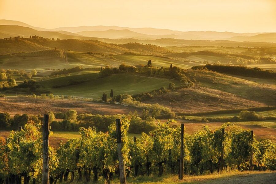 From Siena: Day Tour in a Vintage Fiat 500 with Winery - Driving the Fiat 500: rules you need before you show up