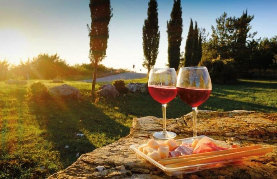 From Siena: San Gimignano, Chianti, and Montalcino Day Trip - Chianti Winery Stop: Cellars, 4 Wines, and Olive Oil plus Balsamic Flights