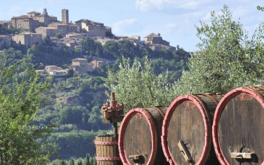 From Siena: San Gimignano, Chianti, and Montalcino Day Trip - Montalcino and the Brunello Hills: Fortress Views and Town Time