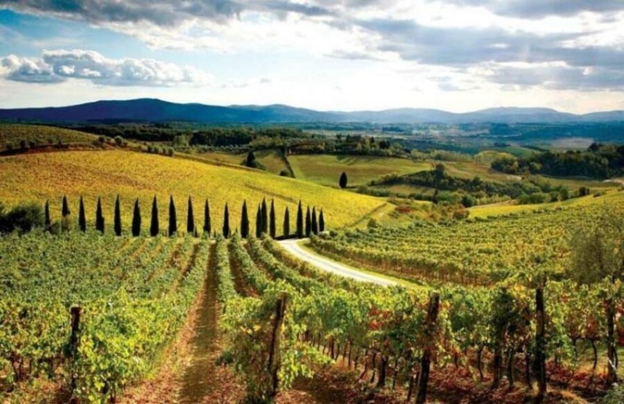 From Siena: San Gimignano, Chianti, and Montalcino Day Trip - Price and Logistics: When the Day Is Great and the Pickup Isn’t