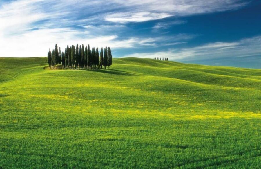 From Siena: San Gimignano, Chianti, and Montalcino Day Trip - San Gimignano and Its Hundred Towers: Free Time in a UNESCO Town