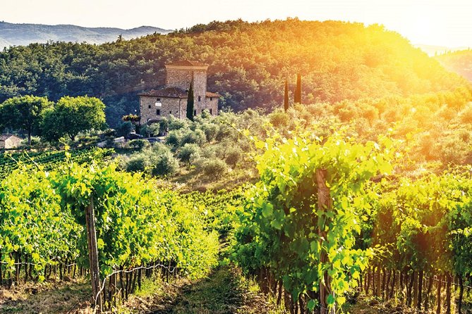 Full-Day Chianti Tour by Vespa Scooter from San Gimignano - Monteriggioni Free Time: Medieval Walls at Your Own Speed