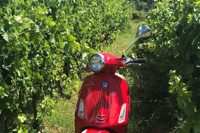 Full-Day Chianti Tour by Vespa Scooter from San Gimignano - Practical Stuff That Can Make or Break the Day
