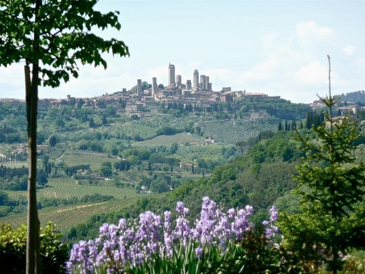Full-Day Tour of Tuscany from Florence-small group up 8 pax - Winery Lunch and Tastings: The Part That Turns a Tour Into a Meal You Remember
