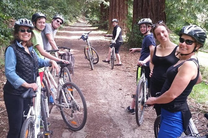 Full-Day Tuscan Countryside Bike Tour - Guide support makes or breaks a bike day