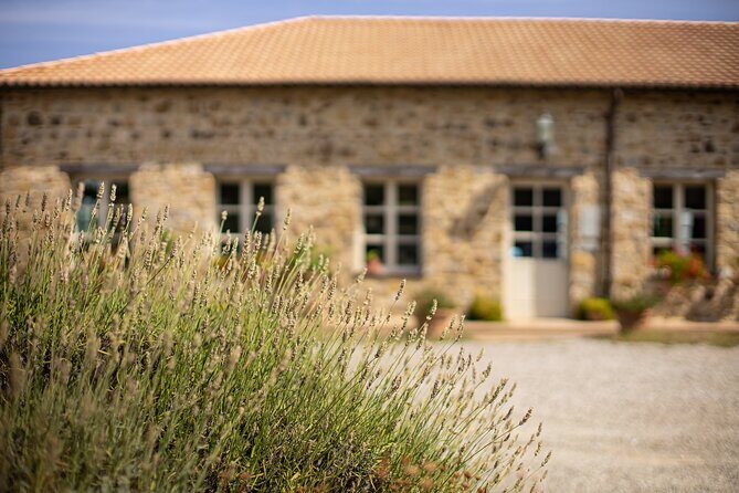 Gourmet Wine & Food Tasting - Who should book this gourmet Brunello and bites tasting?