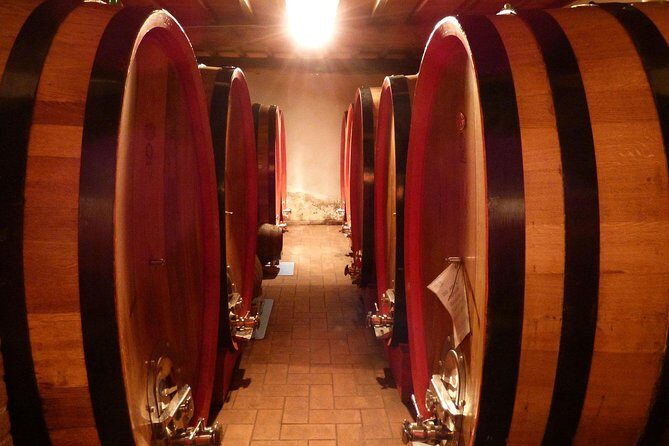 Gourmet Wine Tour San Gimignano Wine Tasting - San Quirico Winery - San Quirico Winery: close to town, but still feels like the countryside