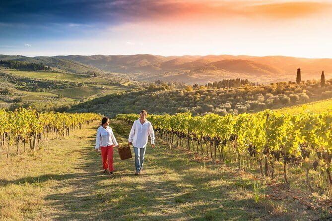 Grape Stomping and Wine Tasting in Tuscany - Why Chianti grape stomping feels like a real Tuscany experience
