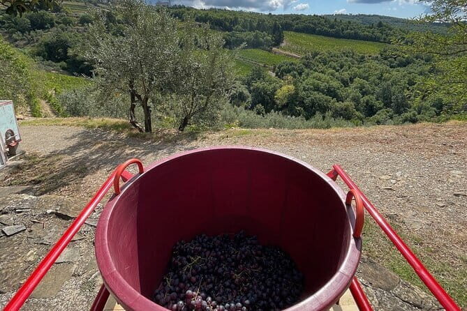 Grape Stomping and Wine Tasting in Tuscany - Meeting at Cantine Guidi: a smooth start in Chianti Classico