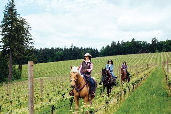 Grape Stomping Experience and Wine Tasting - The cellar tour and tasting: where your questions get answered