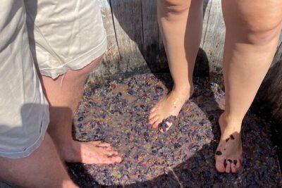 Grape Stomping Experience and Wine Tasting - What the take-home bottle actually means for the value