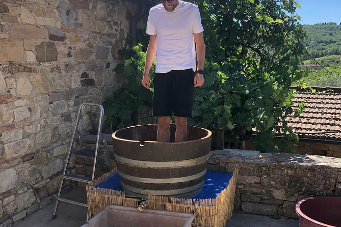 Grape Stomping Experience and Wine Tasting - Harvest-season grape picking: yes, if your dates line up