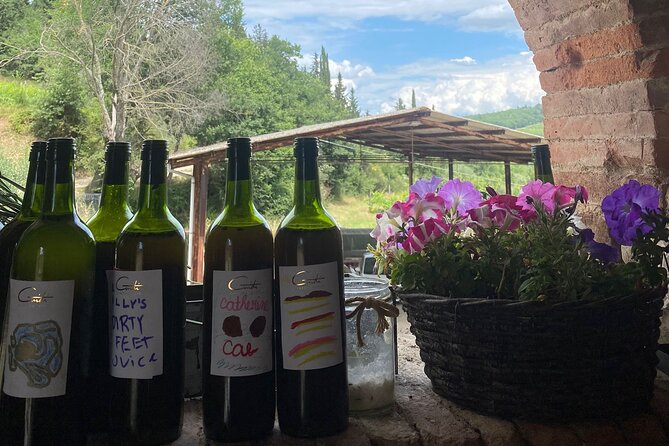 Grape Stomping Experience and Wine Tasting - Price and value: is $178.71 per person a fair deal?