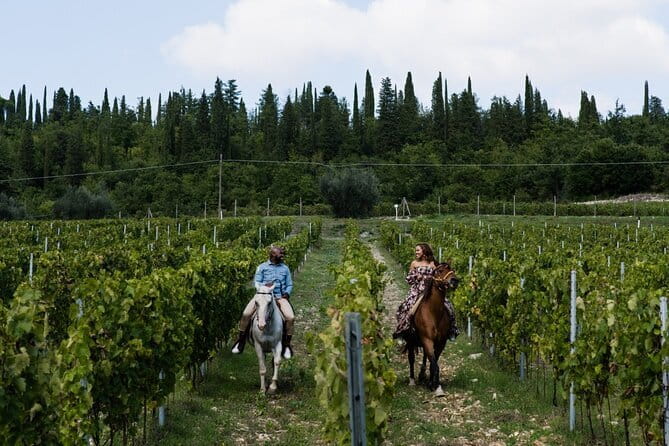 Grape Stomping Experience and Wine Tasting - Practical tips to make the most of your booking