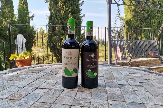 Greve in Chianti Wine Tasting and Winery Tour - The 1.5-hour schedule: what the tour covers in real time