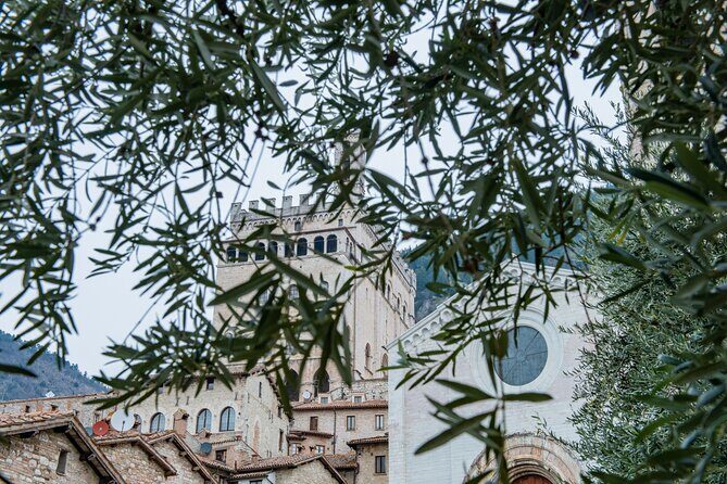 Gubbio: Private walking tour with official guide - Duomo di Gubbio: Saint Francis, Palazzo dei Consoli, and real-life medieval stories