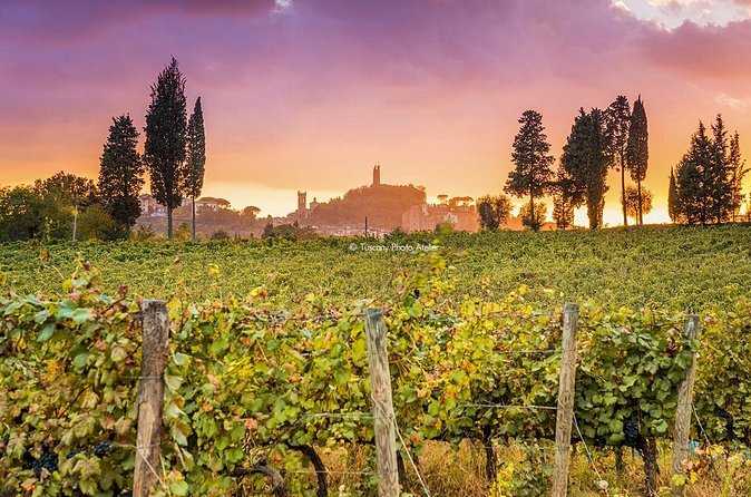 Guided tour in San Miniato and wine tasting! - Wine tasting with real explanation: grapes and processes