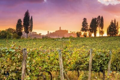 Guided tour in San Miniato and wine tasting! - How the winery stop fits the day (without making it stressful)