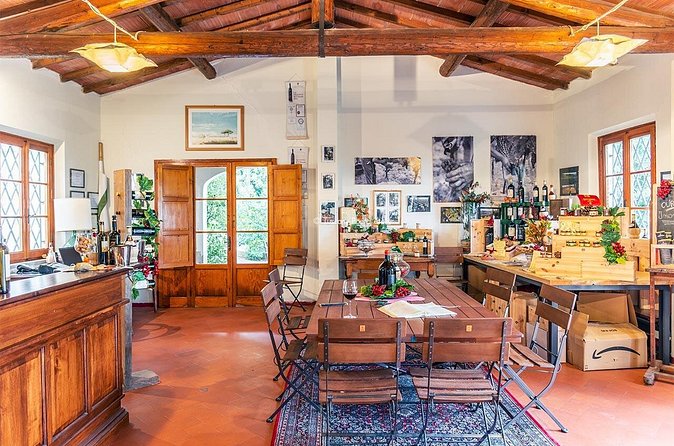 Guided tour in San Miniato and wine tasting! - Group size and pacing: comfortable, not crowded