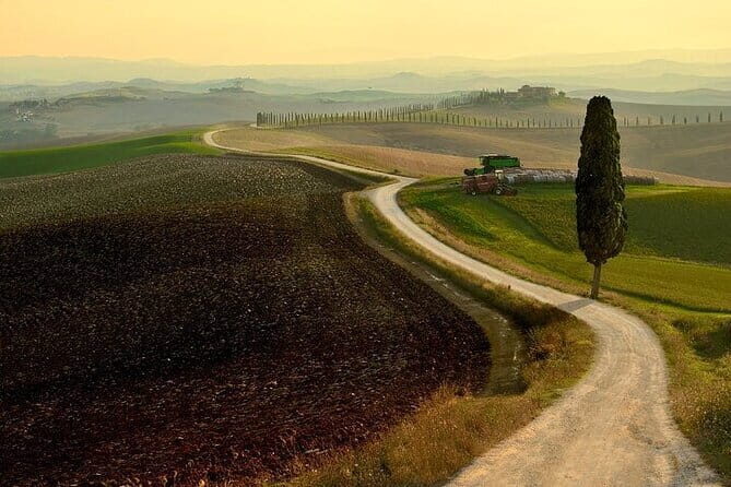 Guided tour in wonderful Tuscany - Agriturismo Baccoleno: cypress avenue views that photograph like a dream