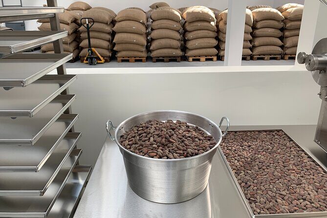 Guided tour of the Artisan Chocolate Factory in Tuscany - Key highlights you should know