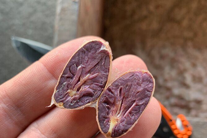 Guided tour of the Artisan Chocolate Factory in Tuscany - Finding Tuscani Cioccolato in Uzzano (and why location matters)