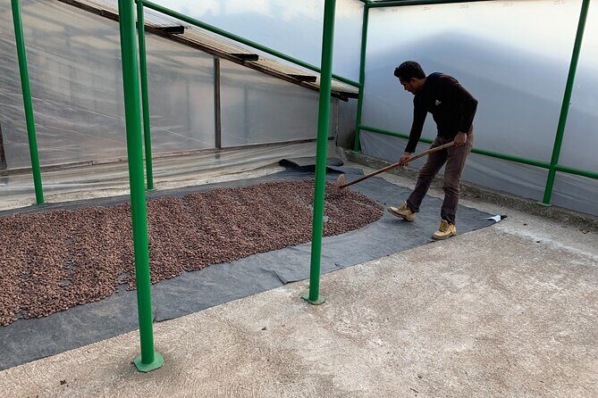 Guided tour of the Artisan Chocolate Factory in Tuscany - Tastings that actually help you compare