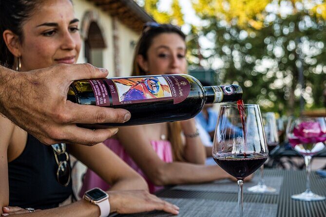 Guided tour of the cellars with wine tasting and lunch - Who this tour suits best (and who might want something else)
